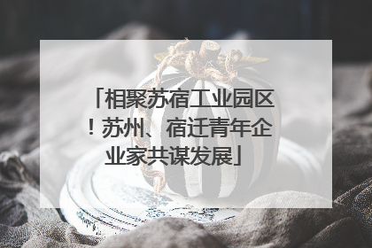 相聚苏宿工业园区！苏州、宿迁青年企业家共谋发展