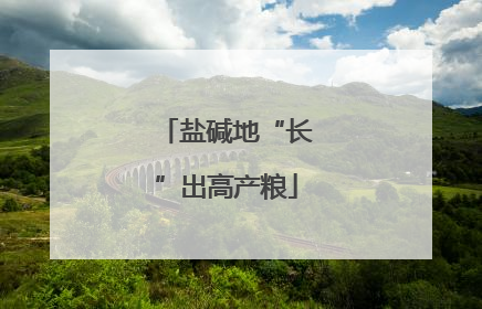 盐碱地“长”出高产粮