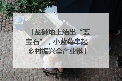 盐碱地上结出“蓝宝石”，小蓝莓串起乡村振兴全产业链
