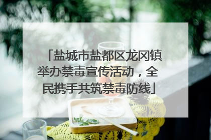 盐城市盐都区龙冈镇举办禁毒宣传活动，全民携手共筑禁毒防线