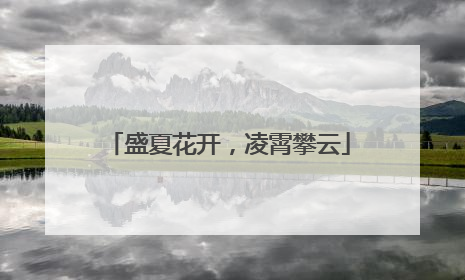 盛夏花开，凌霄攀云