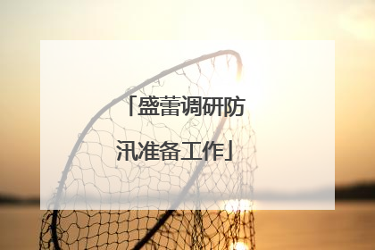 盛蕾调研防汛准备工作