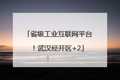 省级工业互联网平台！武汉经开区+2