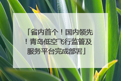 省内首个！国内领先！青岛低空飞行监管及服务平台完成部署