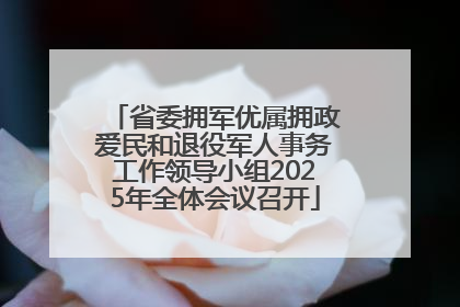 省委拥军优属拥政爱民和退役军人事务工作领导小组2025年全体会议召开