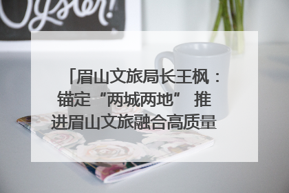 眉山文旅局长王枫：锚定“两城两地” 推进眉山文旅融合高质量发展｜文旅局长说