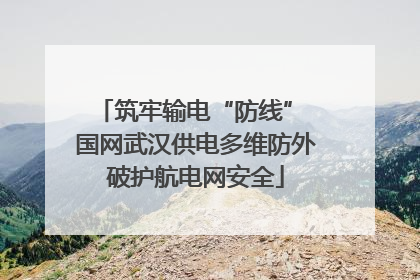 筑牢输电“防线” 国网武汉供电多维防外破护航电网安全