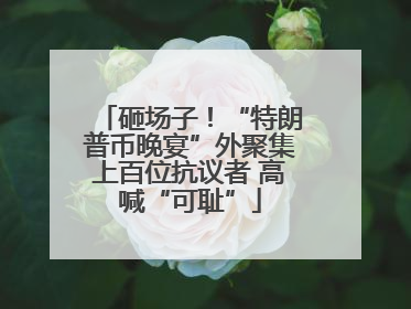 砸场子！“特朗普币晚宴”外聚集上百位抗议者 高喊“可耻”
