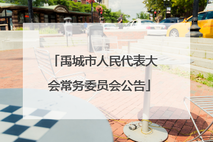 禹城市人民代表大会常务委员会公告