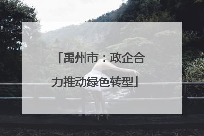 禹州市：政企合力推动绿色转型