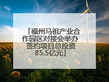 福州马祖产业合作园区对接会举办 签约项目总投资85.5亿元