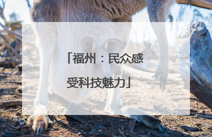 福州：民众感受科技魅力