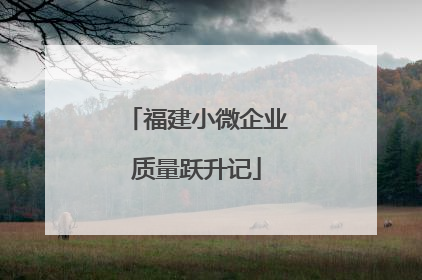 福建小微企业质量跃升记