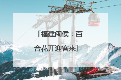 福建闽侯：百合花开迎客来