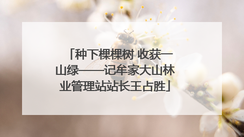 种下棵棵树 收获一山绿——记牟家大山林业管理站站长王占胜