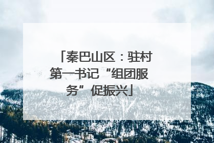 秦巴山区：驻村第一书记“组团服务”促振兴