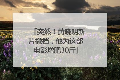 突然！黄晓明新片撤档，他为这部电影增肥30斤