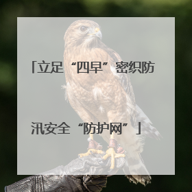 立足“四早”密织防汛安全“防护网”