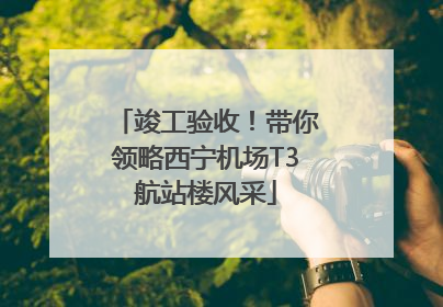 竣工验收！带你领略西宁机场T3航站楼风采
