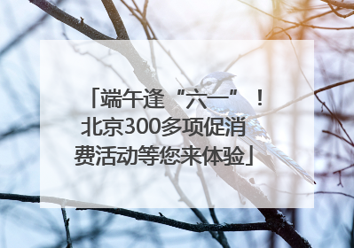 端午逢“六一”！北京300多项促消费活动等您来体验
