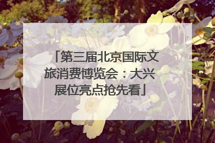 第三届北京国际文旅消费博览会：大兴展位亮点抢先看