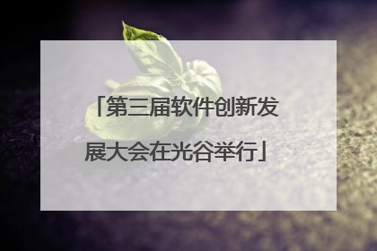 第三届软件创新发展大会在光谷举行
