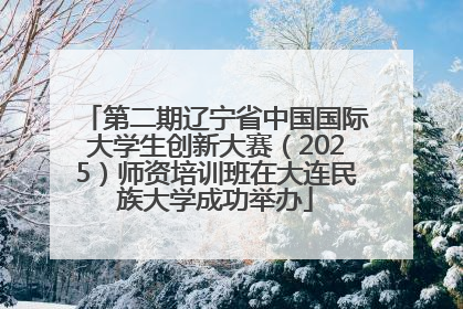 第二期辽宁省中国国际大学生创新大赛（2025）师资培训班在大连民族大学成功举办