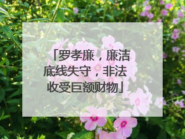 罗孝廉，廉洁底线失守，非法收受巨额财物