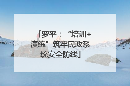 罗平：“培训+演练”筑牢民政系统安全防线