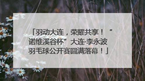 羽动大连，荣耀共享！“诺维溪谷杯”大连·李永波羽毛球公开赛圆满落幕！