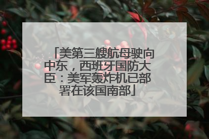 美第三艘航母驶向中东，西班牙国防大臣：美军轰炸机已部署在该国南部