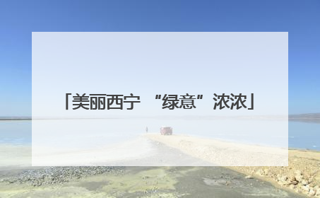 美丽西宁 “绿意”浓浓