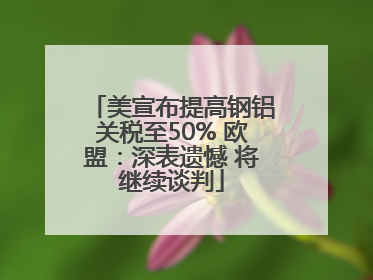 美宣布提高钢铝关税至50% 欧盟：深表遗憾 将继续谈判