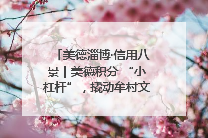 美德淄博·信用八景｜美德积分 “小杠杆”，撬动牟村文明 “大能量”