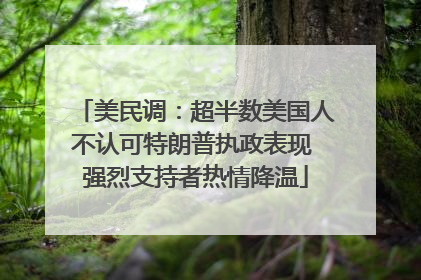 美民调：超半数美国人不认可特朗普执政表现 强烈支持者热情降温