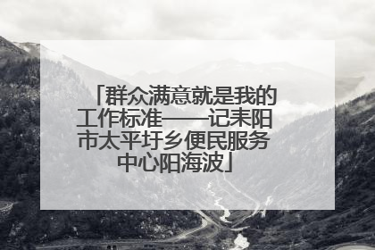 群众满意就是我的工作标准——记耒阳市太平圩乡便民服务中心阳海波