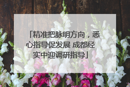 精准把脉明方向，悉心指导促发展 成都经实中迎调研指导