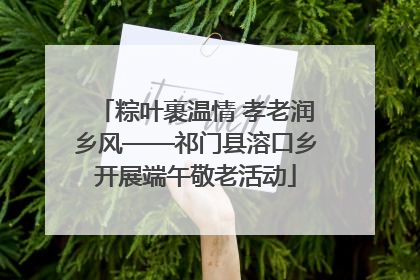 粽叶裹温情 孝老润乡风——祁门县溶口乡开展端午敬老活动