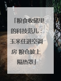 粮食收储里的科技范儿：玉米住进空调房 粮仓披上隔热罩