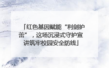 红色基因赋能“利剑护蕾”，这场沉浸式守护宣讲筑牢校园安全防线