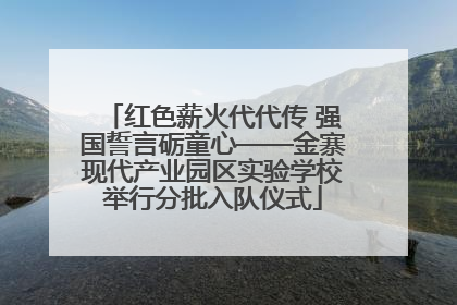 红色薪火代代传 强国誓言砺童心——金寨现代产业园区实验学校举行分批入队仪式