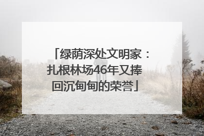 绿荫深处文明家：扎根林场46年又捧回沉甸甸的荣誉