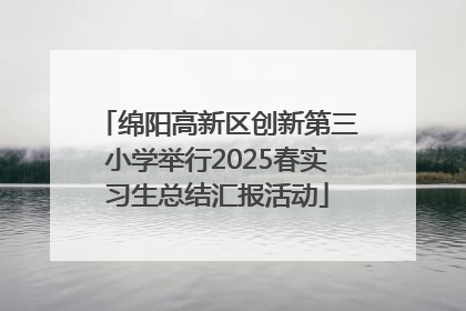 绵阳高新区创新第三小学举行2025春实习生总结汇报活动