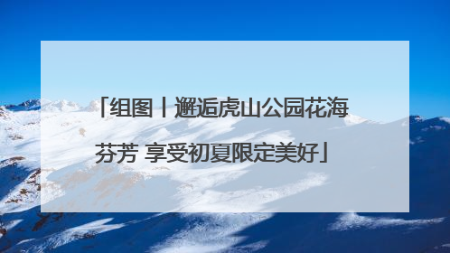 组图丨邂逅虎山公园花海芬芳 享受初夏限定美好