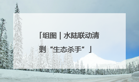 组图｜水陆联动清剿“生态杀手”