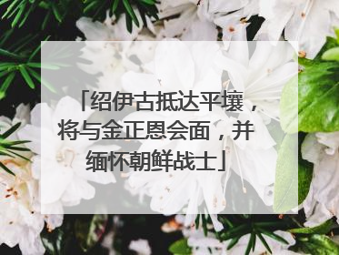 绍伊古抵达平壤，将与金正恩会面，并缅怀朝鲜战士