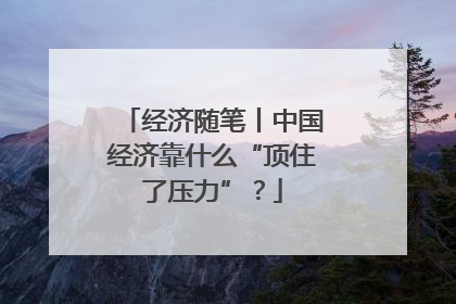 经济随笔丨中国经济靠什么“顶住了压力”？