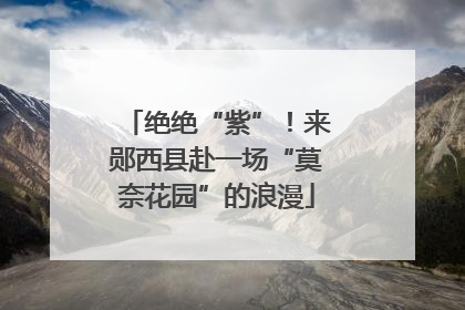 绝绝“紫”！来郧西县赴一场“莫奈花园”的浪漫