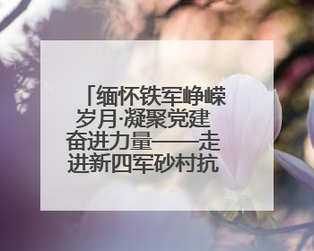 缅怀铁军峥嵘岁月·凝聚党建奋进力量——走进新四军砂村抗战史迹展示馆开展主题教育