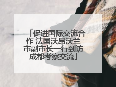 促进国际交流合作 法国沃昂沃兰市副市长一行到访成都考察交流